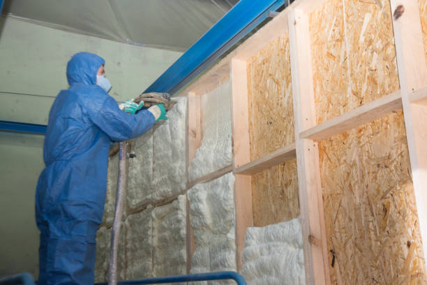 Best Best Insulation Companies  in Frontenac, KS