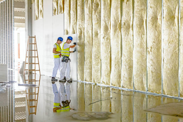 Professional Insulation Contractor in Frontenac, KS